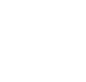 Exploit Security Logo