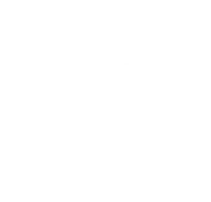 Exploit Security Logo