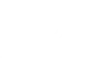 Night Noise Night Noise Logo